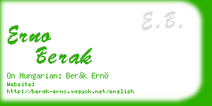 erno berak business card